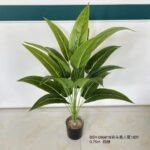 IMG-20260422-WA0028