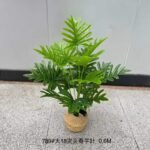 IMG-20260422-WA0035