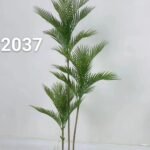 IMG-20260422-WA0043