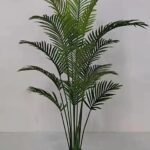 IMG-20260422-WA0064